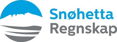 Snøhetta regnskap