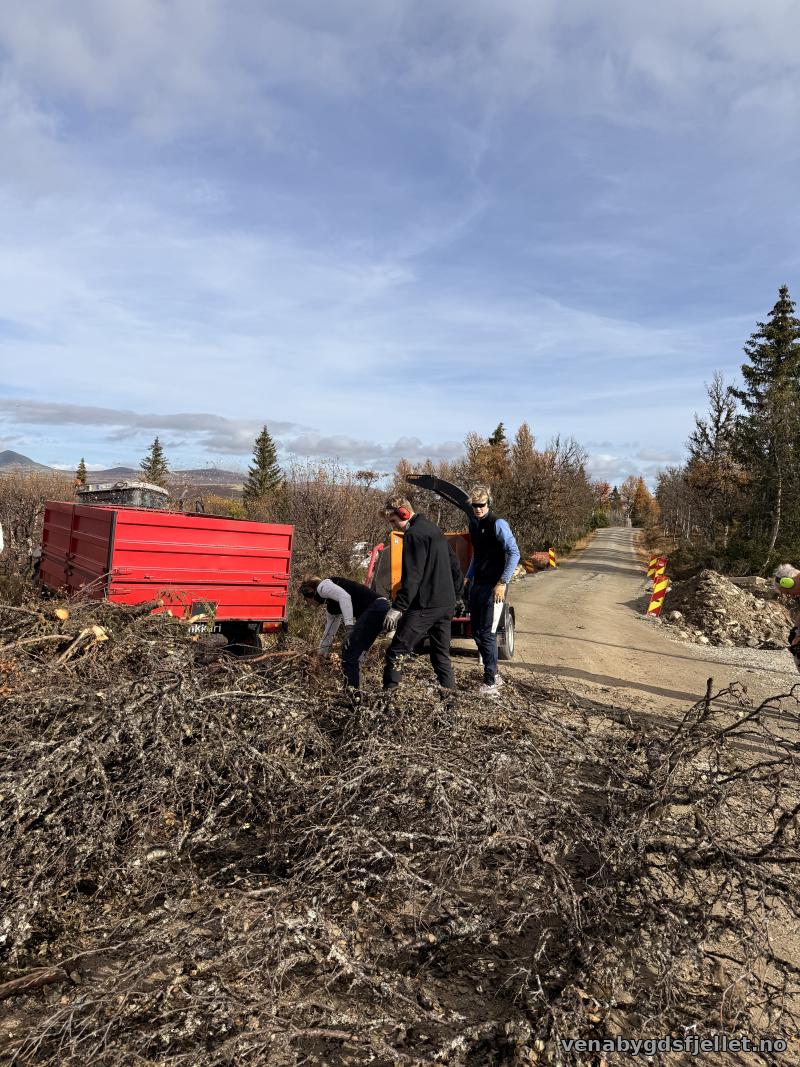 Haakon og Sverre Giæver og Sander B. Kristensen